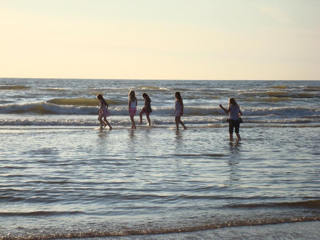 Hotel Rasch Bergen aan Zee Εξωτερικό φωτογραφία